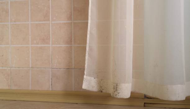 Mold Remediation for Vacation Homes in Northfield, OH