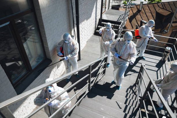 Best Mold Remediation for Vacation Homes  in Northfield, OH