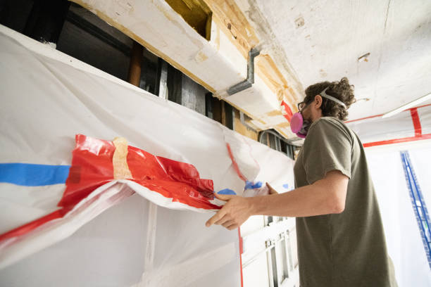 Best Emergency Mold Remediation  in Northfield, OH