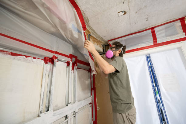 Best Post-Construction Mold Inspection  in Northfield, OH
